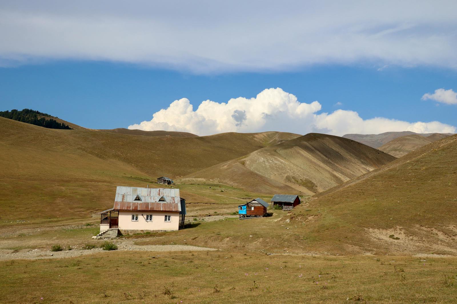 Scenic view of quaint houses set against Artvin's rolling hills.